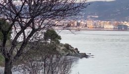 volos-den-echi-anagnoristi-o-1