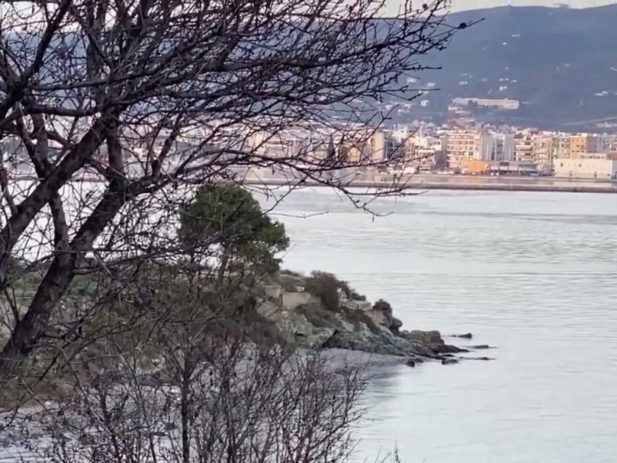 Βόλος: Δεν έχει αναγνωριστεί ο άνδρας που εντοπίστηκε νεκρός στα Πευκάκια την Πρωτοχρονιά