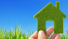 xekina-i-drasi-epichiro-prasina