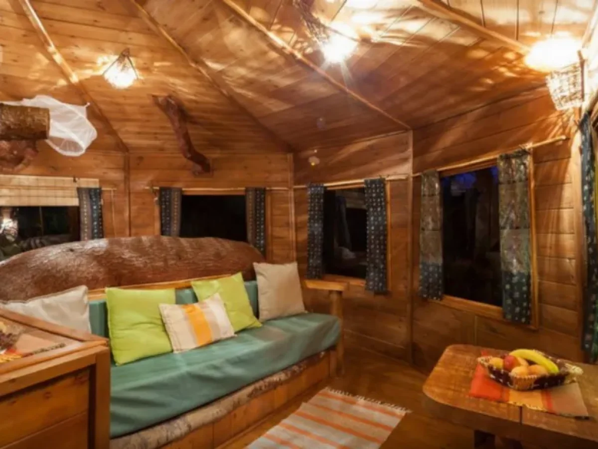 Ζευγάρι έφτιαξε στην Αμαλιάδα το ομορφότερο δεντρόσπιτο της Ελλάδας