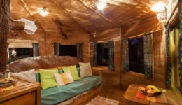 zevgari-eftiaxe-stin-Αmaliada-to