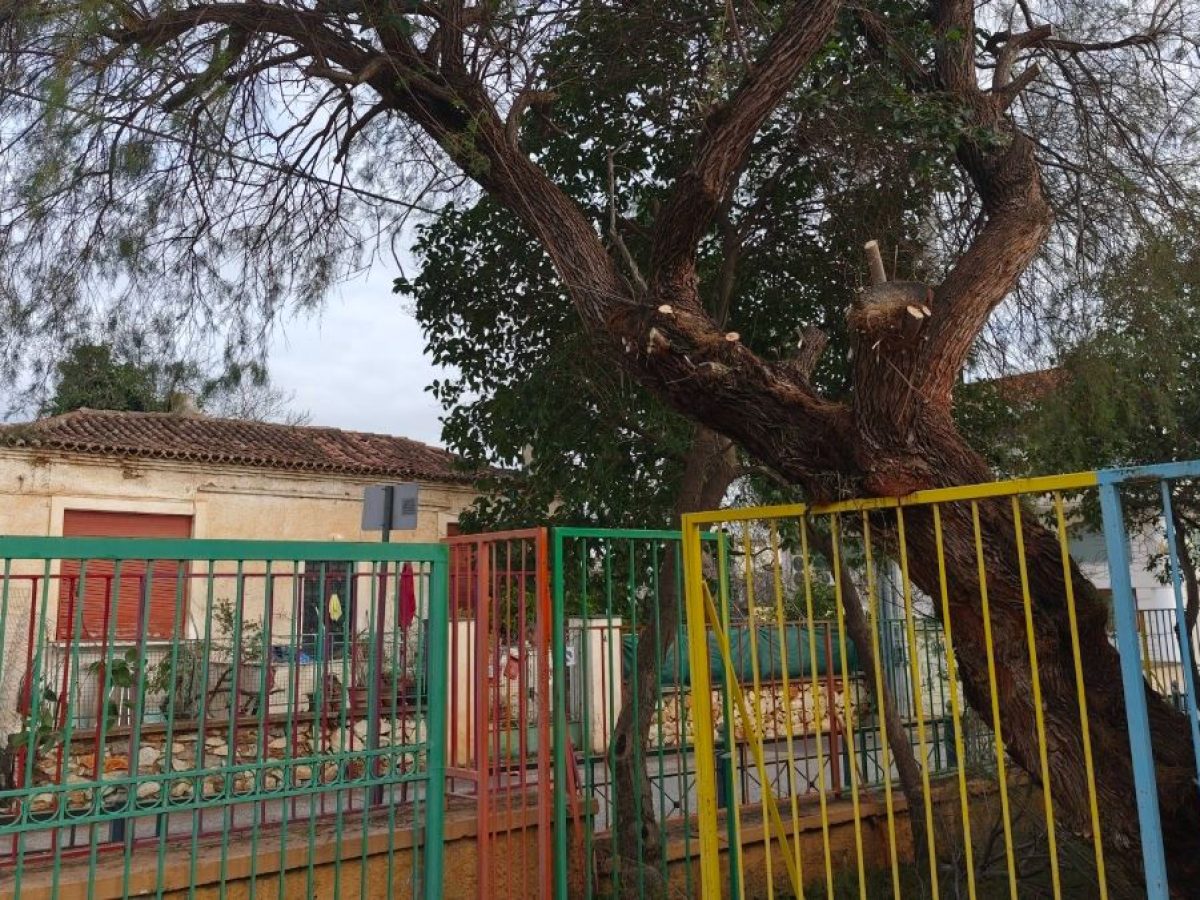 Άλλαξε όψη το Δημοτικό Νέας Μάκρης – Τι εργασίες έγιναν στον εξωτερικό χώρο