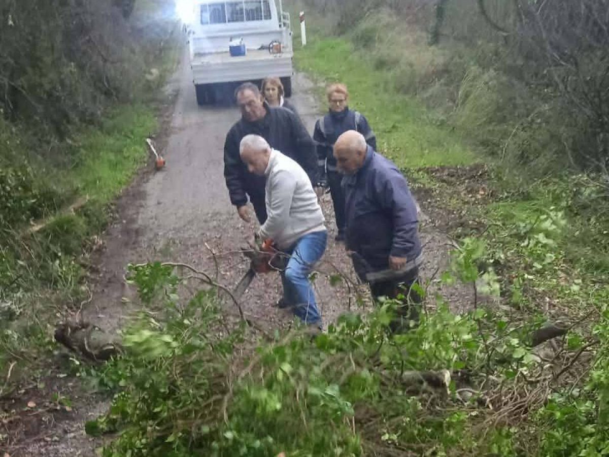 Άνοιξε ο δρόμος από Παλαιοκαρυά για Κυραβγενα που έκλεισε λόγω κατολισθήσεις και πεσμένων δένδρων