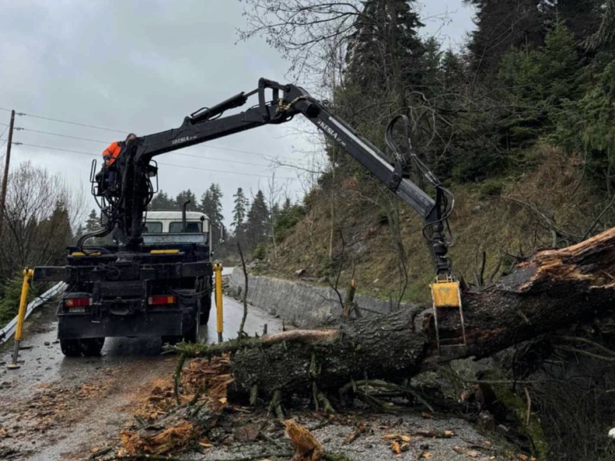Άνοιξε ο δρόμος Χρυσομηλιάς – Περτουλίου μετά από παρέμβαση Ντιντή και Γιαννούλα
