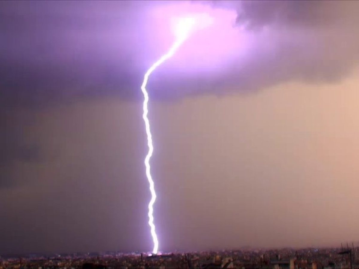 Αχαΐα: Είχε παρατήσει τα ζώα του στο έλεος του καιρού