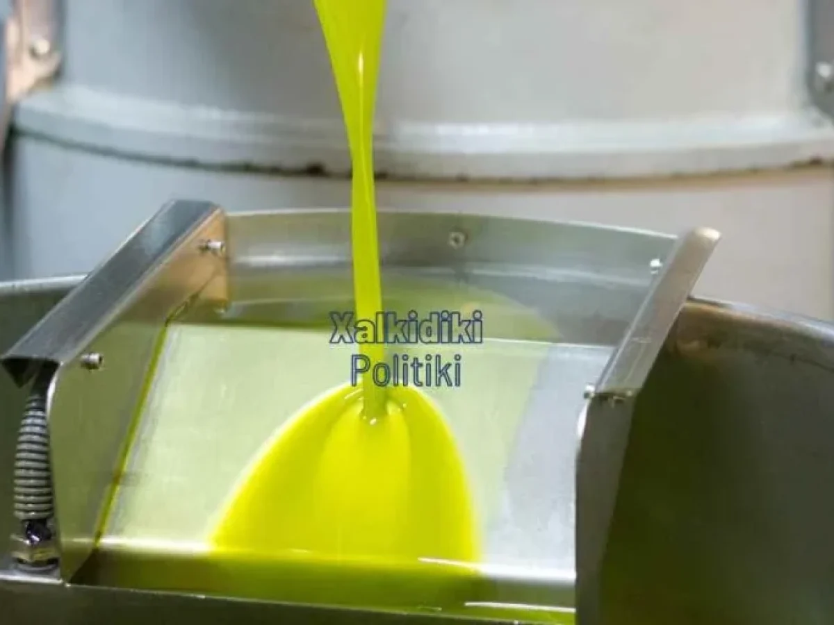 Αγορά ελαιολάδου στις ΗΠΑ, καταναλωτικές τάσεις, premium προϊόντα και απευθείας κανάλια διάθεσης