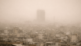 Αgorastos-paraplanisi-se-kathe-dilosi