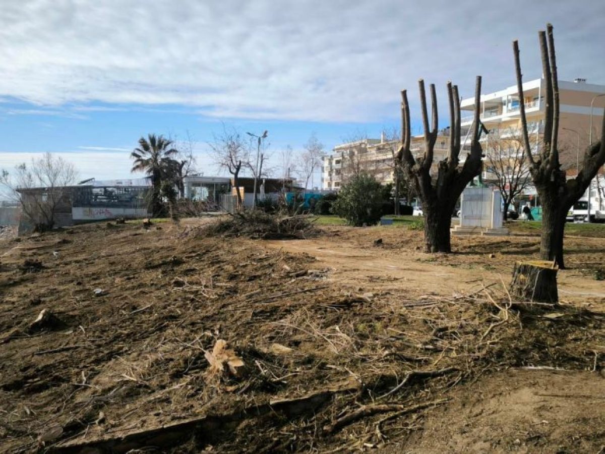 Αλεξανδρούπολη: Σε διαδικασία επούλωσης των πληγών της