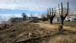 Αlexandroupoli-se-diadikasia-epoulosis-ton-pligon-tis