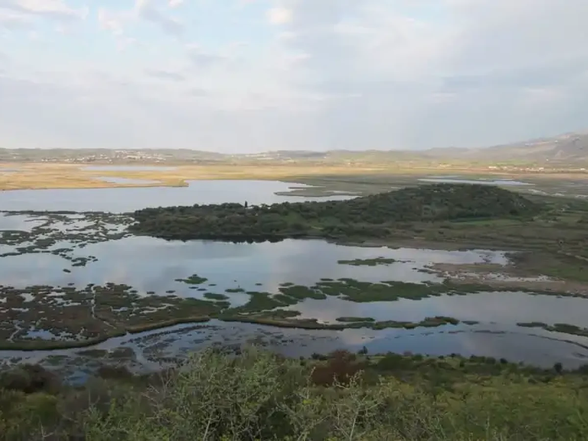 Αμβρακικός κόλπος, η “προίκα” της Ηπείρου – Τι λέει η Περιφέρεια για επιβάρυνση και υδατοκαλλιέργειες