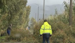 Αnemostrovilos-chtipise-to-mesolongi-xerizose