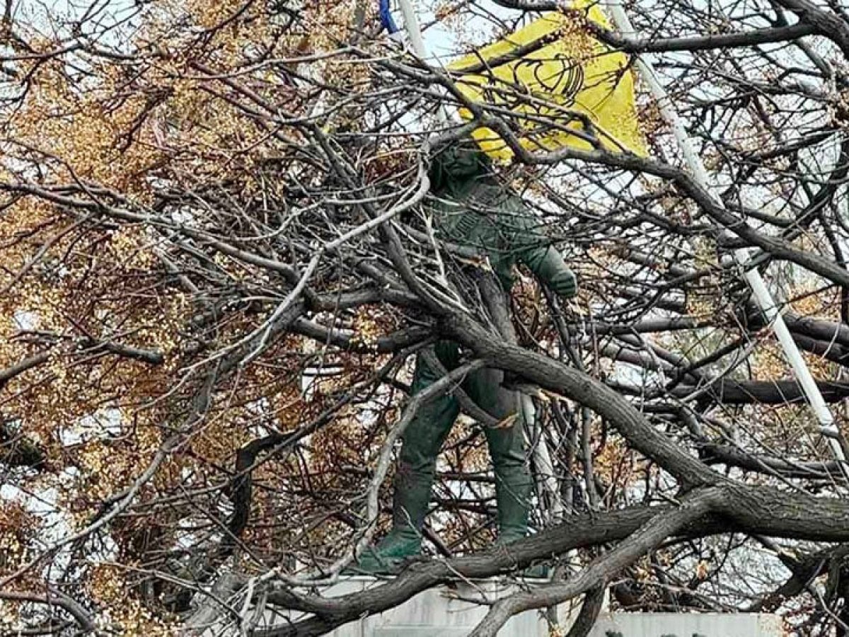 Ανεμοστρόβιλος στην Αλεξανδρούπολη: Κατέστρεψε τα πάντα, αλλά ο Πόντιος Αγωνιστής δεν λύγισε