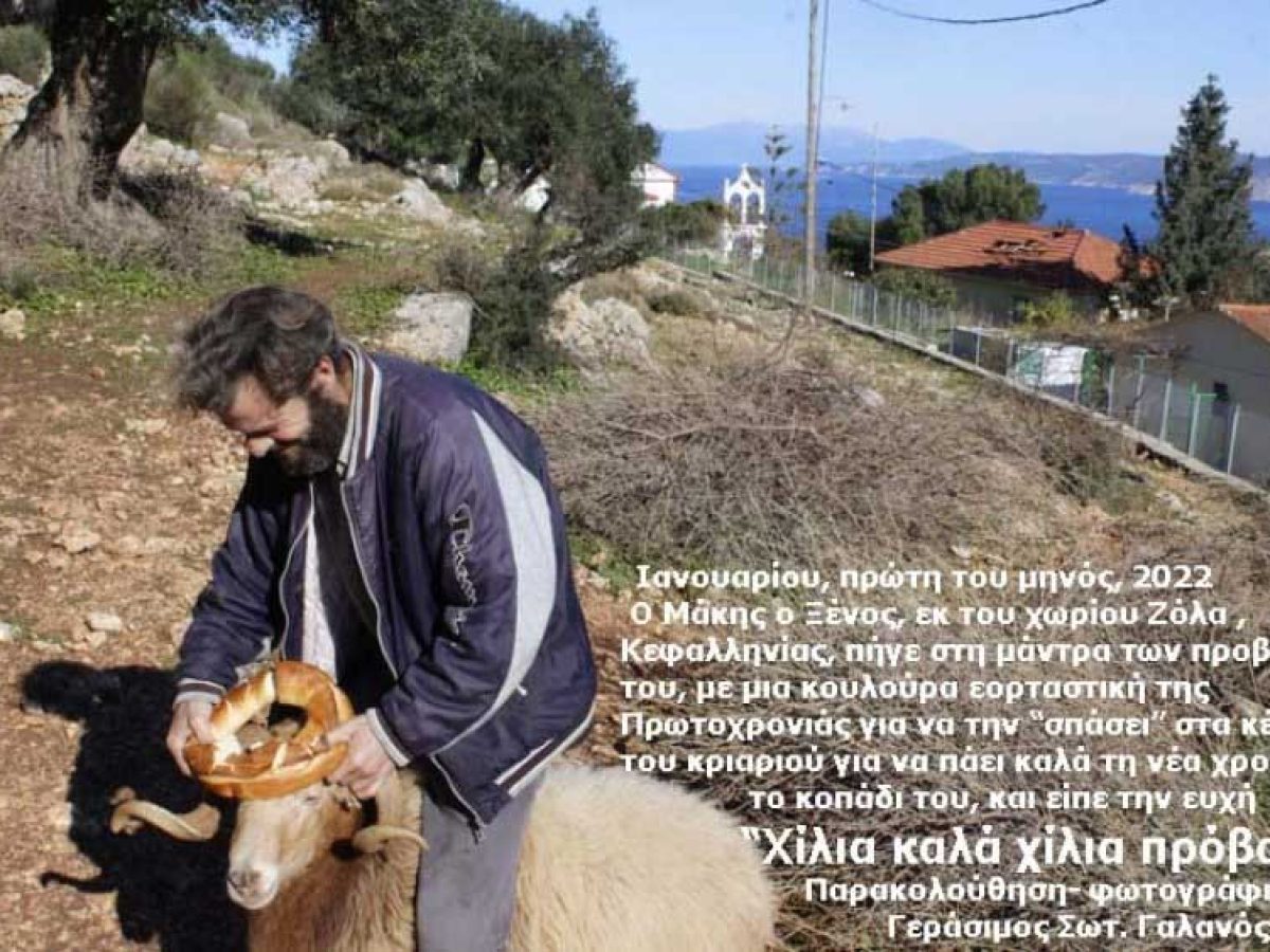 Ανήμερα την Πρωτοχρονιά οι χωρικοί και οι τσοπαναραίοι στην Κεφαλονιά … “εθιμοτυπούσαν” για την οικιακή οικονομία τους