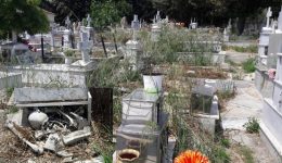 Αntidrasis-ston-pteleo-gia-times