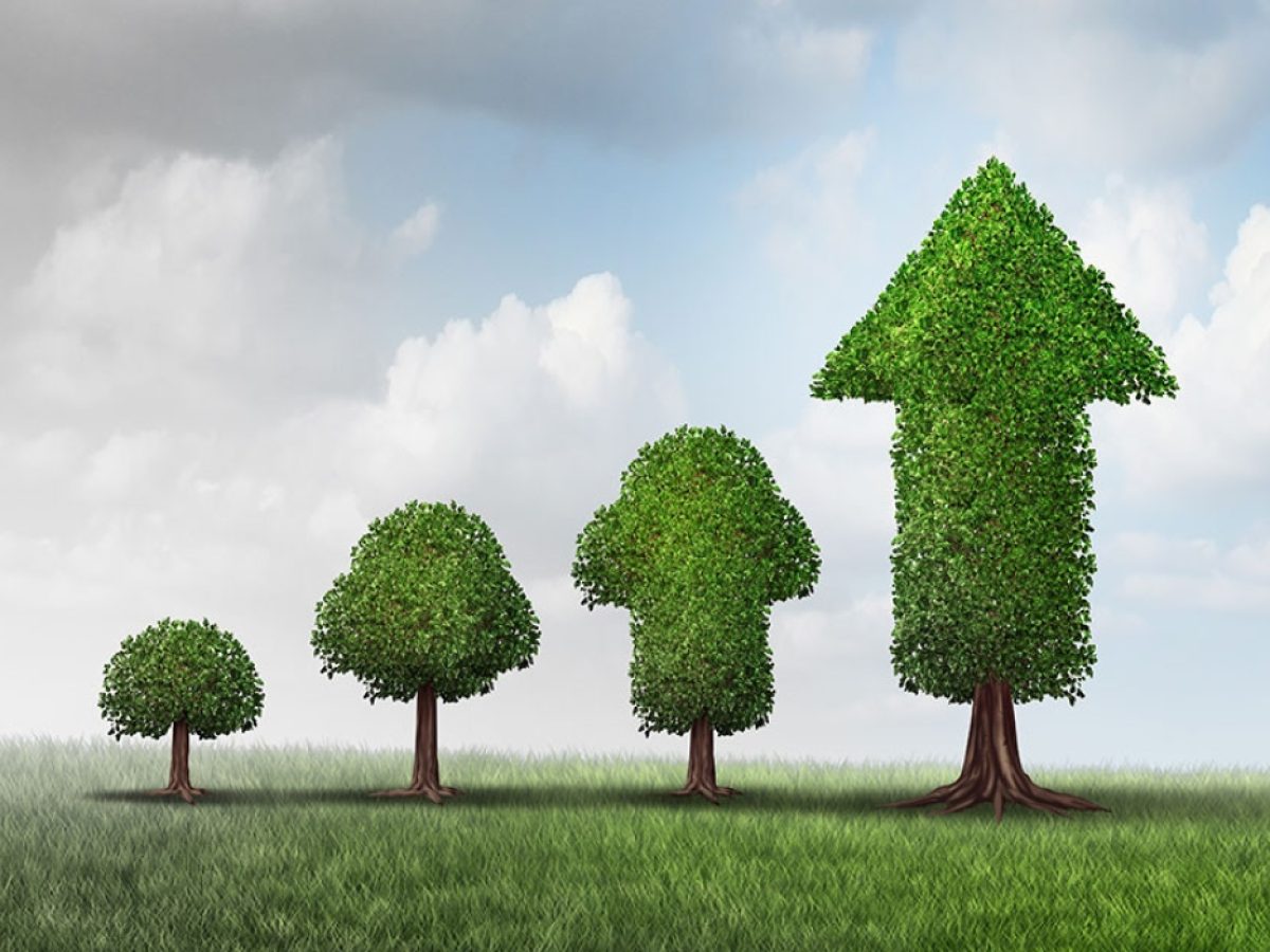 Από την παράδοση στην καινοτομία: Εκδήλωση για την τοπική ανάπτυξη και την επιχειρηματικότητα στη Βαμβακού