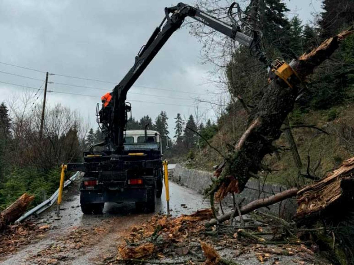 Αποκαταστάθηκε η κυκλοφορία στον δρόμο Χρυσομηλιάς – Περτουλίου