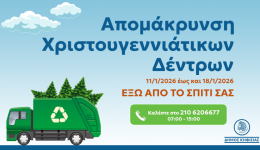 Αpokomidi-fisikon-christougenniatikon-dentron-apo-1