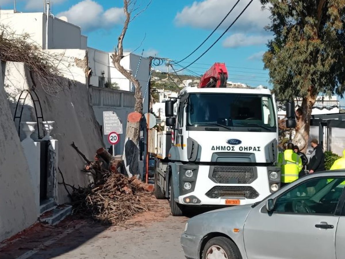Απομάκρυνση επικίνδυνου δέντρου για λόγους ασφάλειας στην περιοχή Κοντοχωρίου