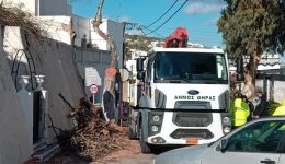 Αpomakrinsi-epikindinou-dentrou-gia-logous