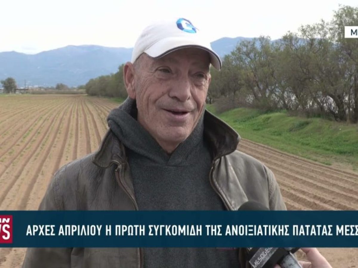 Αρχές Απριλίου η πρώτη συγκομιδή της ανοιξιατικής πατάτας στον νομό Μεσσηνίας