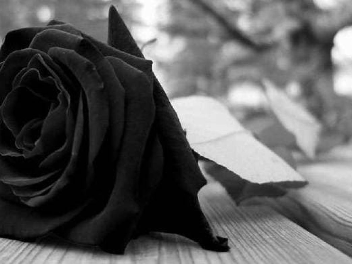 «‘Έφυγε»από τη ζωή η Αρχόντα Σκανδαλίδη, το γένος Ηρακλείδη,  σύζυγος του αείμνηστου συγγραφέα Μιχάλη Ε. Σκανδαλίδη