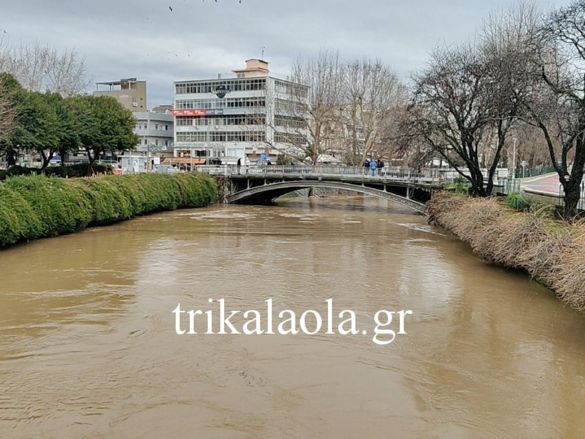 Ά&gamma;&rho;&iota;&alpha; &omicron;&mu;&omicron;&rho;&phi;&iota;ά &alpha;&pi;ό &tau;&omicron;&nu; &ldquo;&phi;&omicron;&upsilon;&sigma;&kappa;&omega;&mu;έ&nu;&omicron;&rdquo; &Lambda;&eta;&theta;&alpha;ί&omicron; &sigma;&tau;&alpha; &Tau;&rho;ί&kappa;&alpha;&lambda;&alpha; (&Beta;ί&nu;&tau;&epsilon;&omicron; &ndash; 30 &Phi;&Omega;&Tau;&Omicron;)