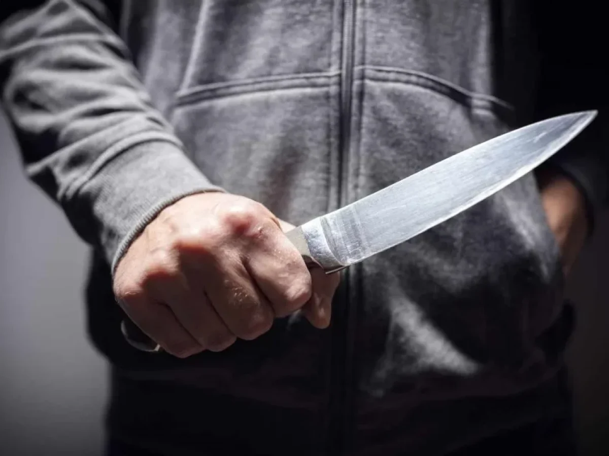 &Alpha;&gamma;&rho;ί&nu;&iota;&omicron;: &Sigma;&upsilon;&nu;&epsilon;&lambda;ή&phi;&theta;&eta; ά&nu;&delta;&rho;&alpha;&sigmaf; &mu;&epsilon; &mu;&alpha;&chi;&alpha;ί&rho;&iota; 28 &epsilon;&kappa;&alpha;&tau;&omicron;&sigma;&tau;ώ&nu; &sigma;&epsilon; έ&lambda;&epsilon;&gamma;&chi;&omicron; &tau;&eta;&sigmaf; Ά&mu;&epsilon;&sigma;&eta;&sigmaf; &Delta;&rho;ά&sigma;&eta;&sigmaf;
