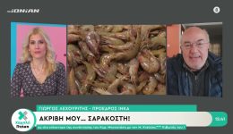 &Alpha;krivi-mou&hellip;-sarakosti
