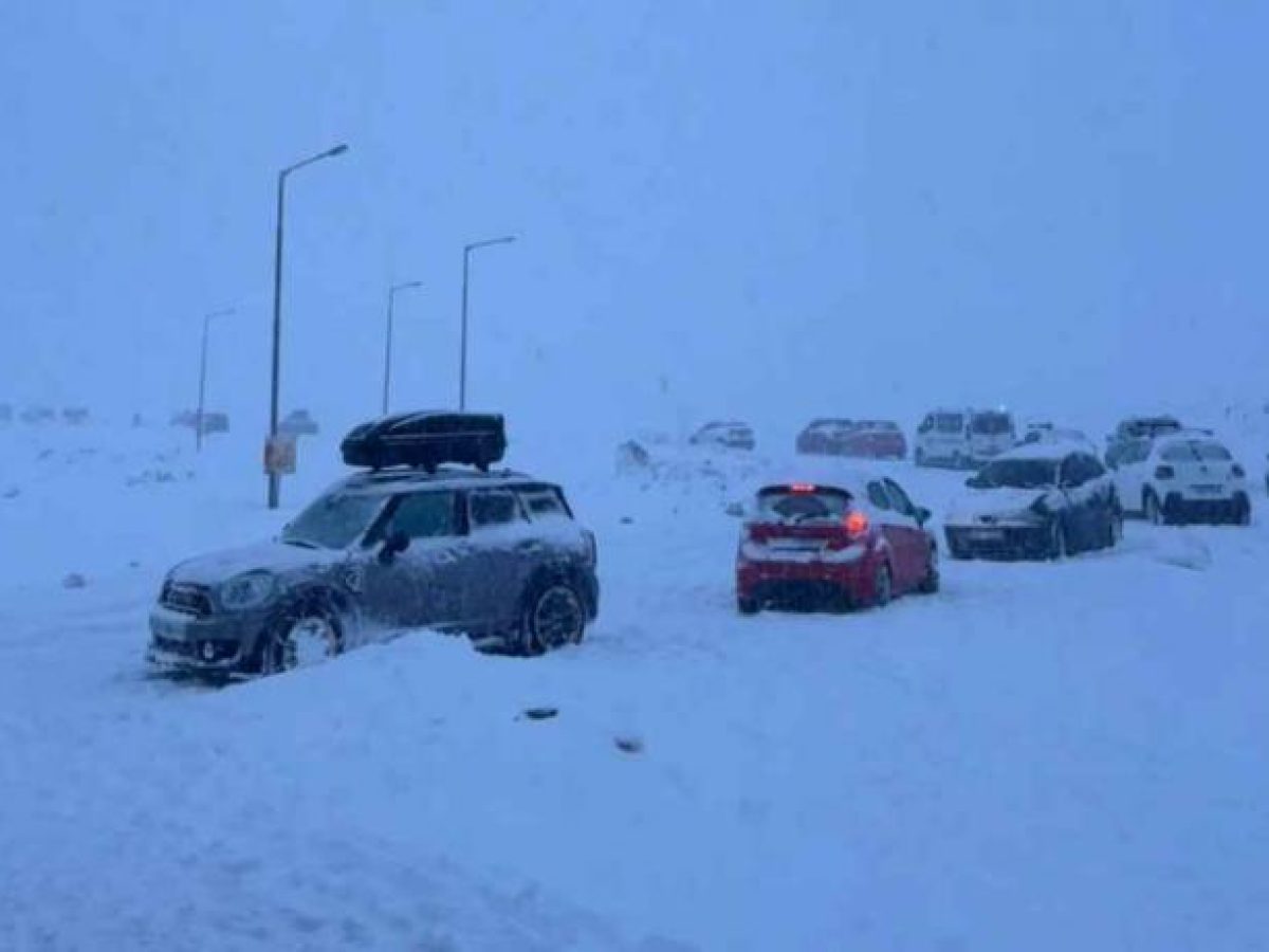 &Alpha;&pi;&epsilon;&gamma;&kappa;&lambda;&omega;&beta;ί&sigma;&tau;&eta;&kappa;&alpha;&nu; ό&lambda;&omicron;&iota; &omicron;&iota; &epsilon;&pi;&iota;&sigma;&kappa;έ&pi;&tau;&epsilon;&sigmaf; &alpha;&pi;ό &tau;&omicron; &chi;&iota;&omicron;&nu;&omicron;&delta;&rho;&omicron;&mu;&iota;&kappa;ό &kappa;έ&nu;&tau;&rho;&omicron; &Phi;&alpha;&lambda;&alpha;&kappa;&rho;&omicron;ύ