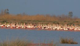 &Alpha;stirefti-omorfia-stin-etoloakarnania-megali