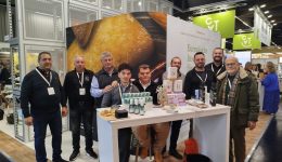 11-epichirisis-tis-kritis-se