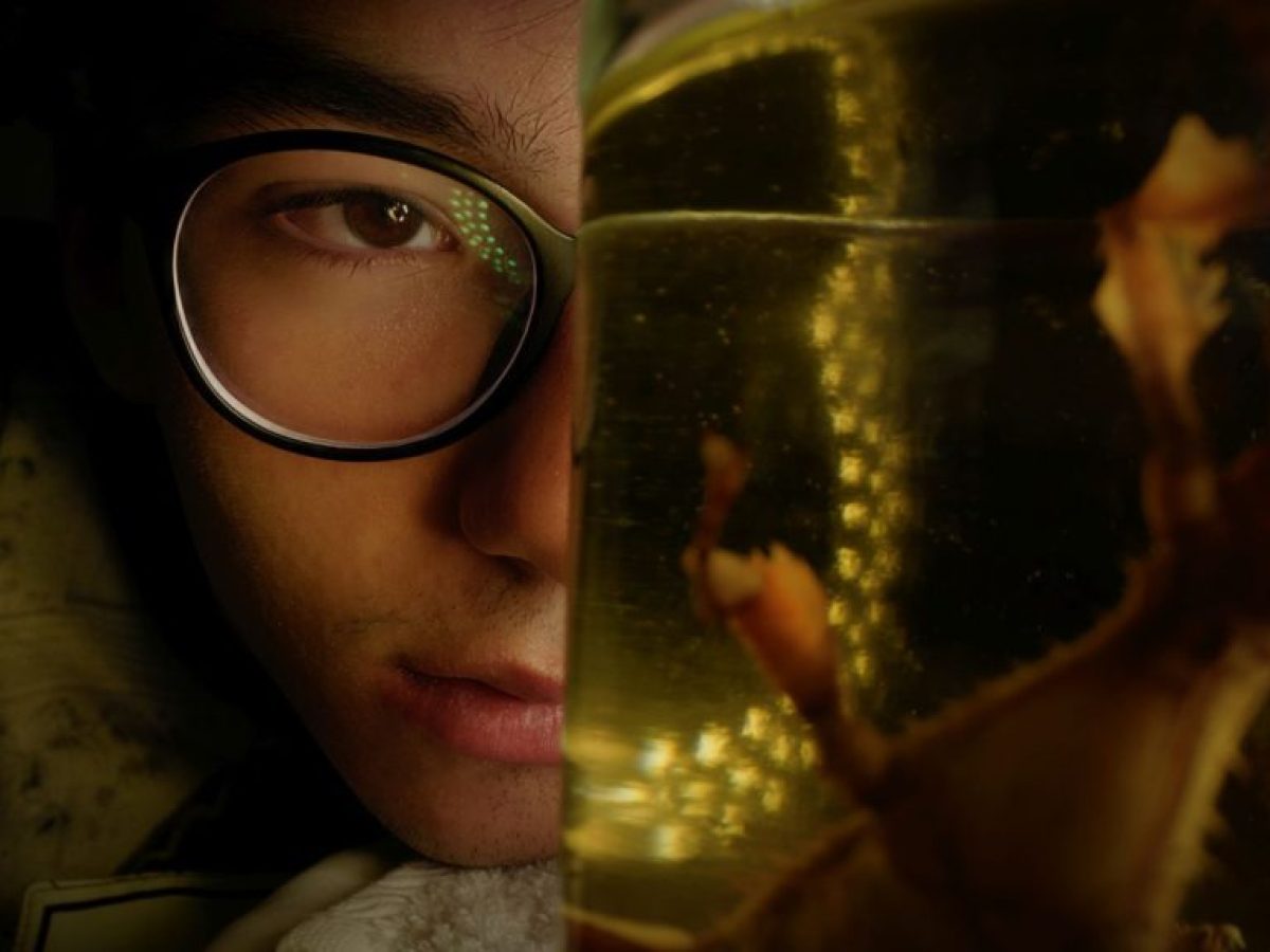 28o ΦΝΘ: 57 συναρπαστικά ελληνικά ντοκιμαντέρ