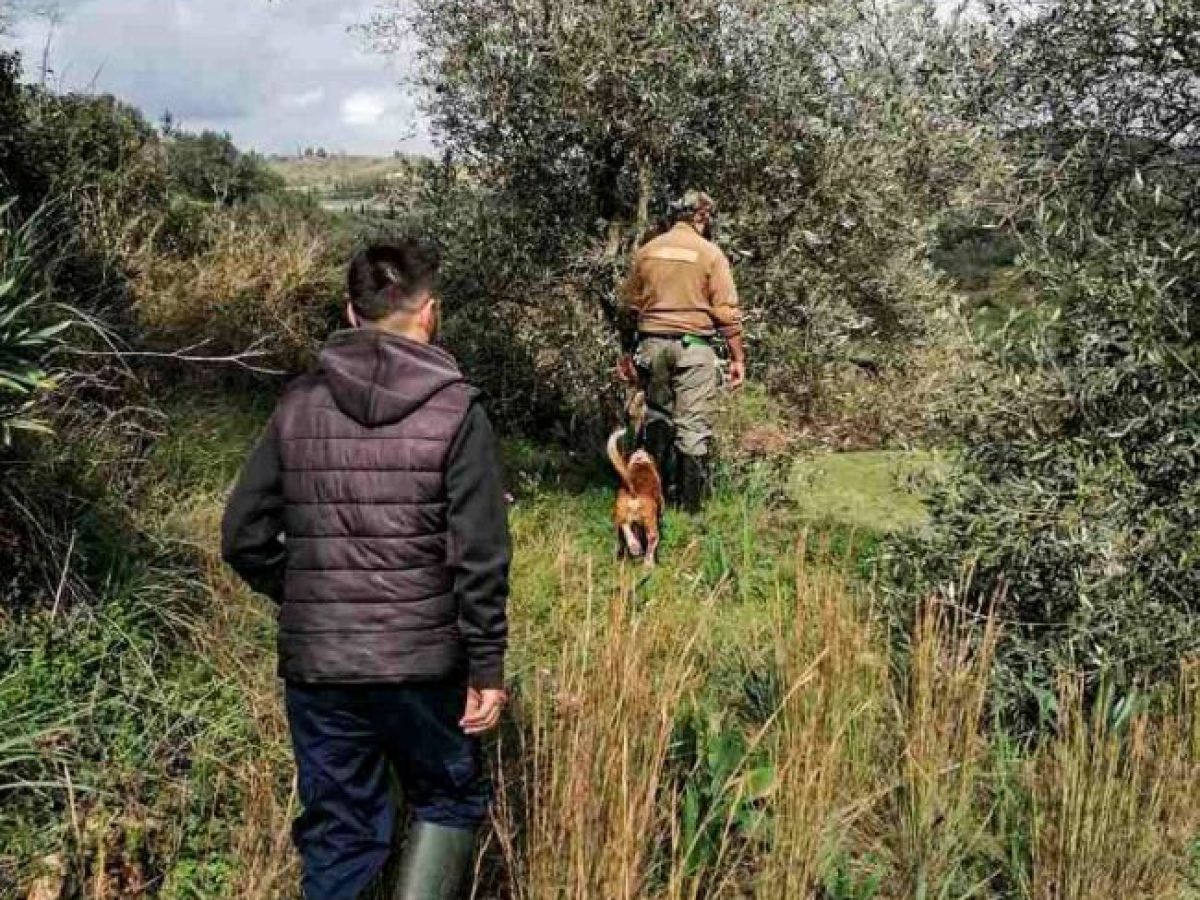 5η μέρα χωρίς αποτέλεσμα για την αγνοούμενη ηλικιωμένη στο Καινούργιο
