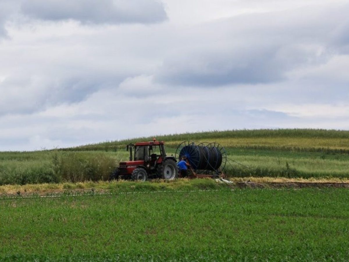 67χρονος καλλιεργούσε στρέμματα νεκρής με πλαστό μισθωτήριο – Πως αποκαλύφθηκε η απάτη