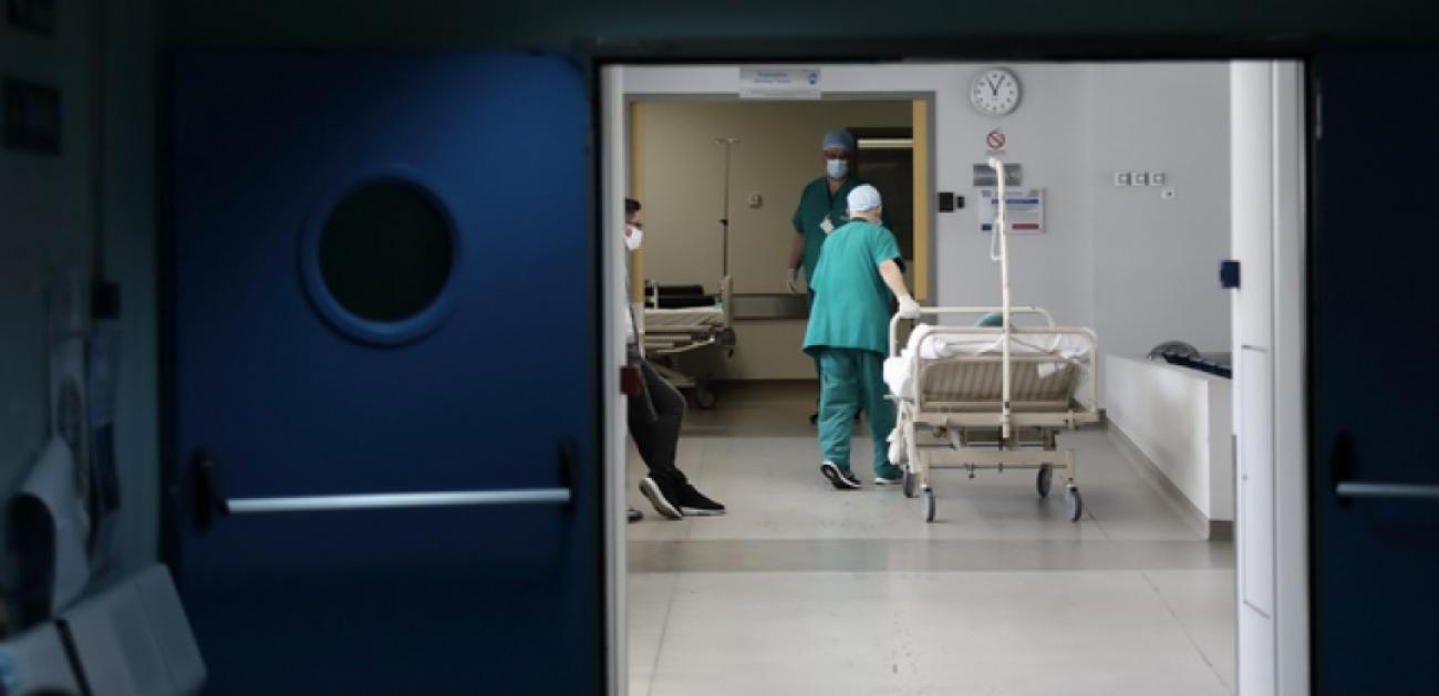 Asep-–-prokirichthikan-nees-proslipsis