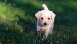 Green-Friday-ekdilosi-gia-ta