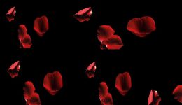 Love-Play-Taste-Valentines-Day-1