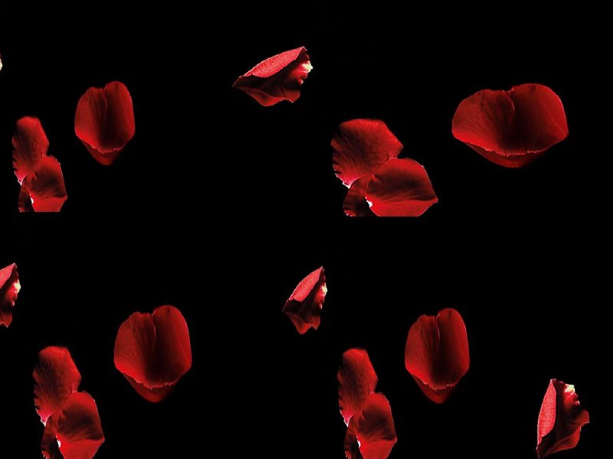 Love, Play, Taste: Valentine’s Day στο NYX Hotel Thessaloniki