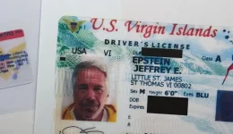 Politico-o-epstain-psareve-ginekes