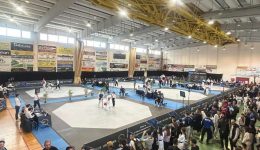 Taekwondo-alli-mia-panellinia-diorganosi