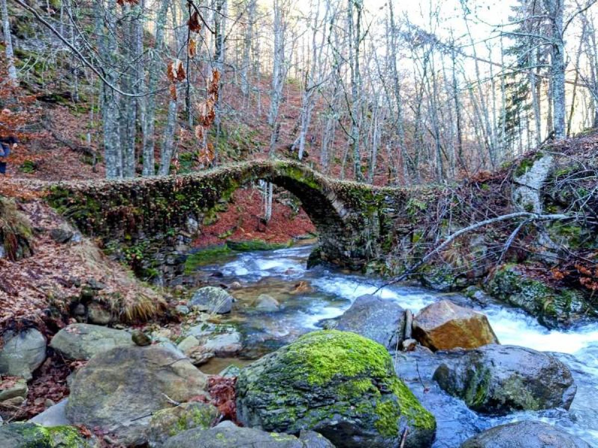 Terra Paranestia Η νέα πρόκληση των 300 χλμ. στο Παρθένο Δάσος Παρανεστίου  Παπαδόπουλος : «Η Παρανέστια Γη είναι τεράστια και έχει κρυμμένους οικολογικούς θησαυρούς. Θα σας μαγέψει»