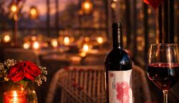 Valentines-menu-ziste-ton-apolito-2
