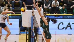 Volley-League-ginekon-i-anaskopisi
