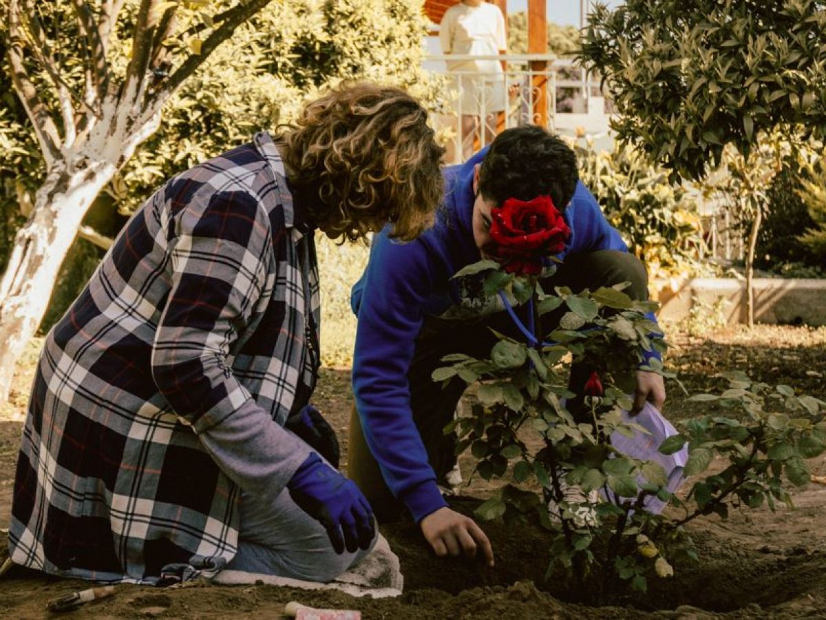 Whispers: Ελεύθερη στο youtube η ταινία των Λευτέρη Κετέογλου και Βούλας Σταμπέλου από τη Νέα Μάκρη