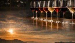 Wine-Taste-Experience-sto-Frame