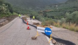 aftopsia-th.-vasilopoulou-se-perioches