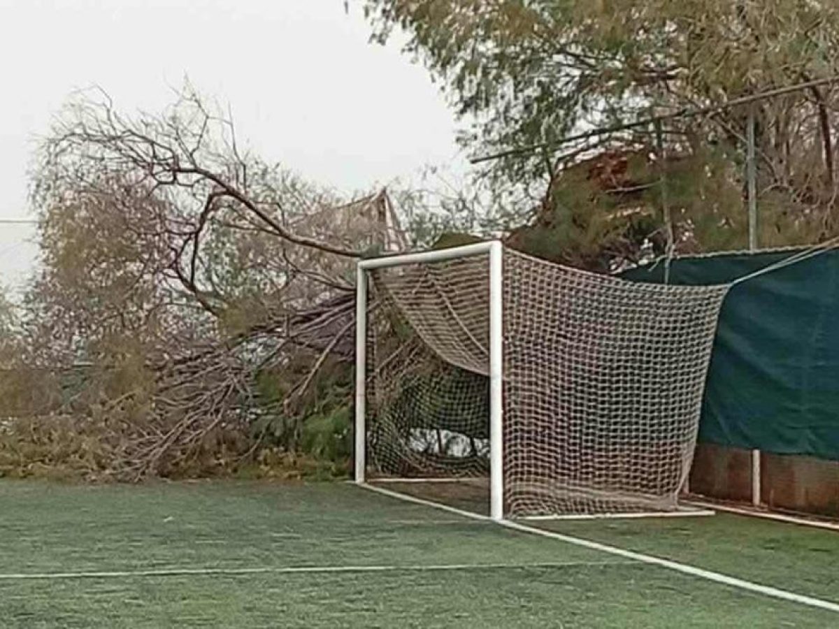 Χανιά: Κλειστό το Γήπεδο Αγίας Μαρίνας λόγω πτώσης δέντρου