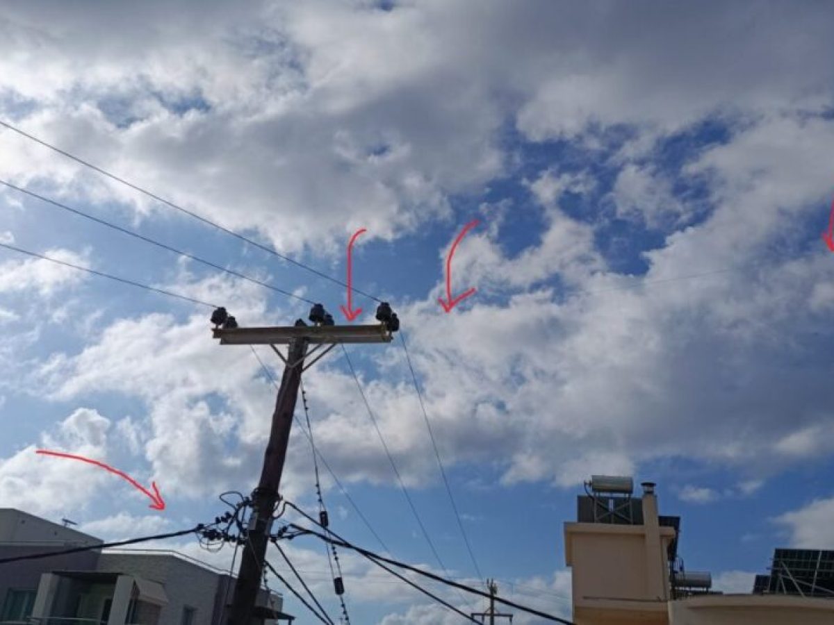 Χανιά | Όταν η αδιαφορία κρέμεται από τα καλώδια: Μια επικίνδυνη καθυστέρηση… | Photos