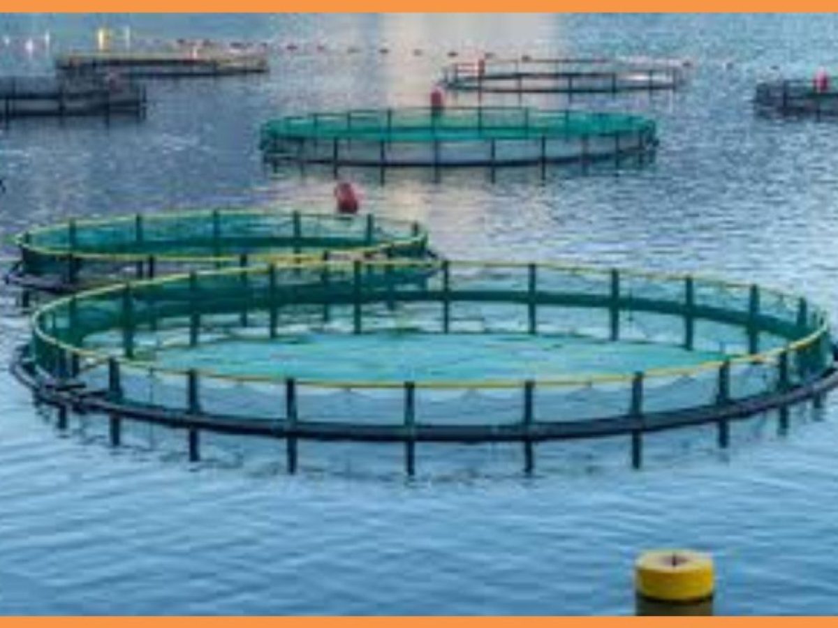 Χωροταξική oργάνωση για την ελληνική θαλάσσια υδατοκαλλιέργεια