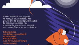 deddie-prosochi-sto-petagma-tou